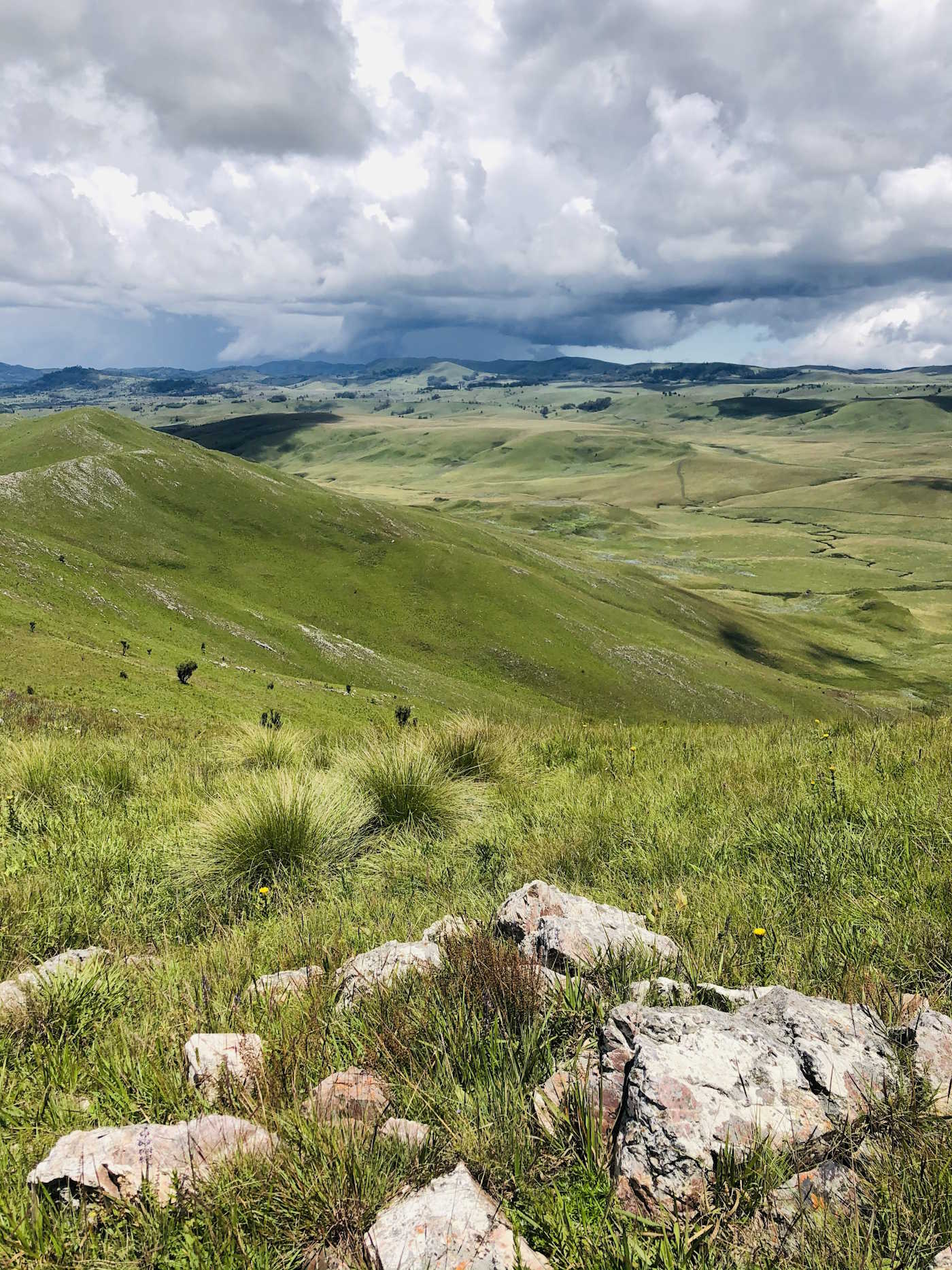 Livingstone - Offline Maps and Field Journal for Outdoorsmen.